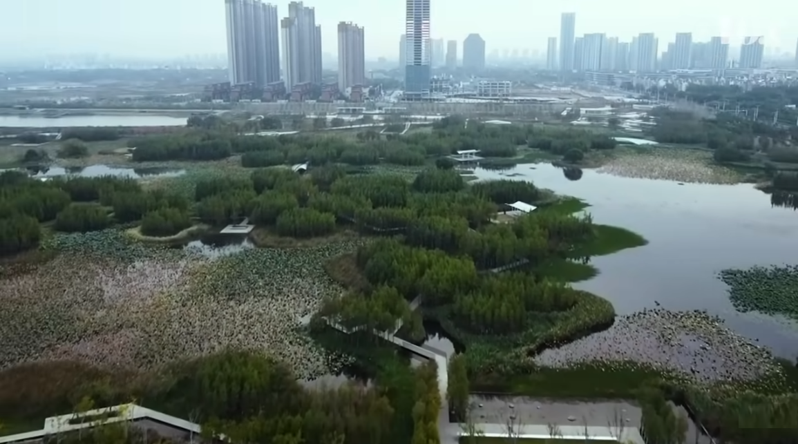 sponge city kota spons china